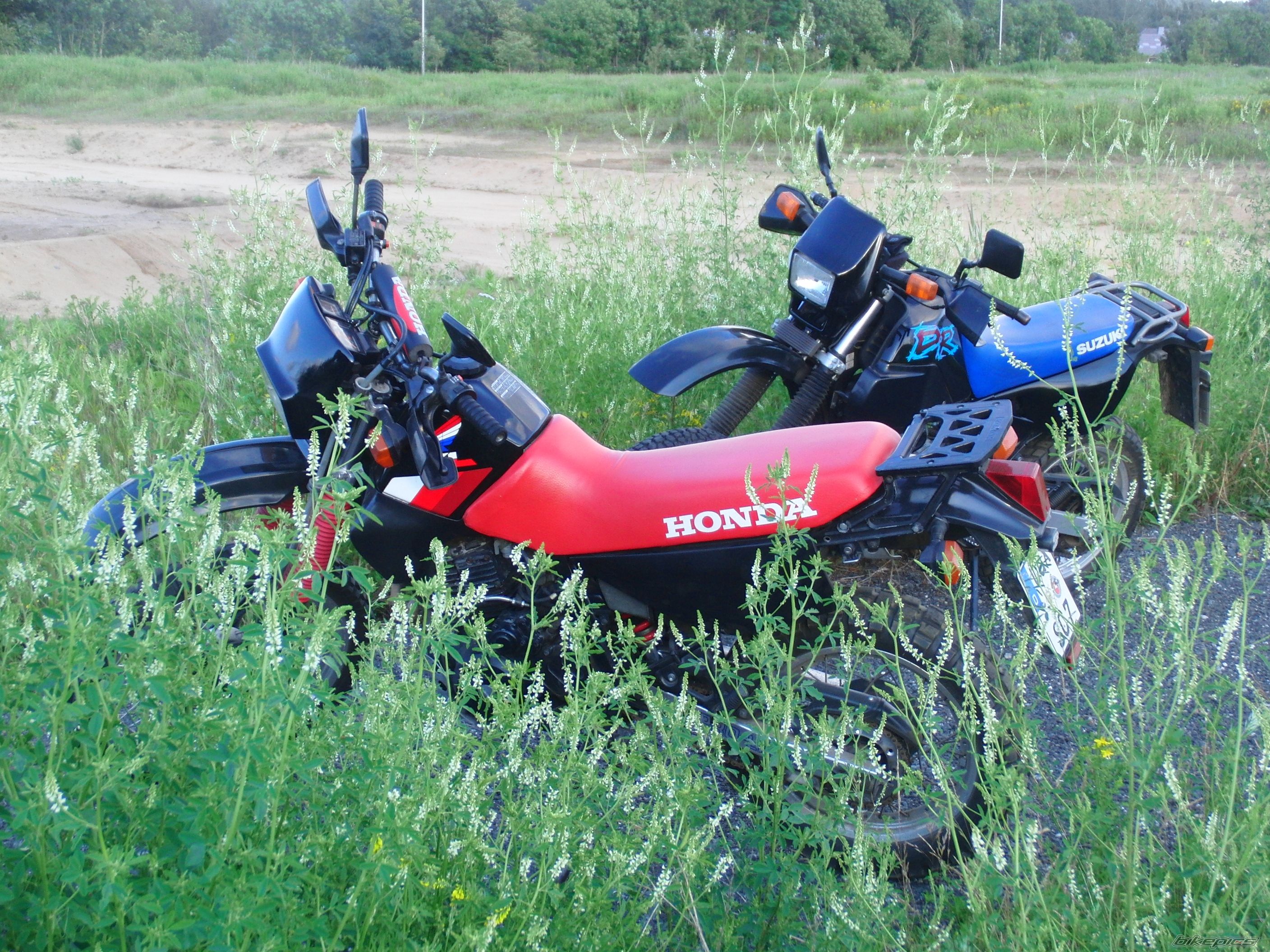 Photo 2237135