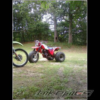 Bike Photo 2237159