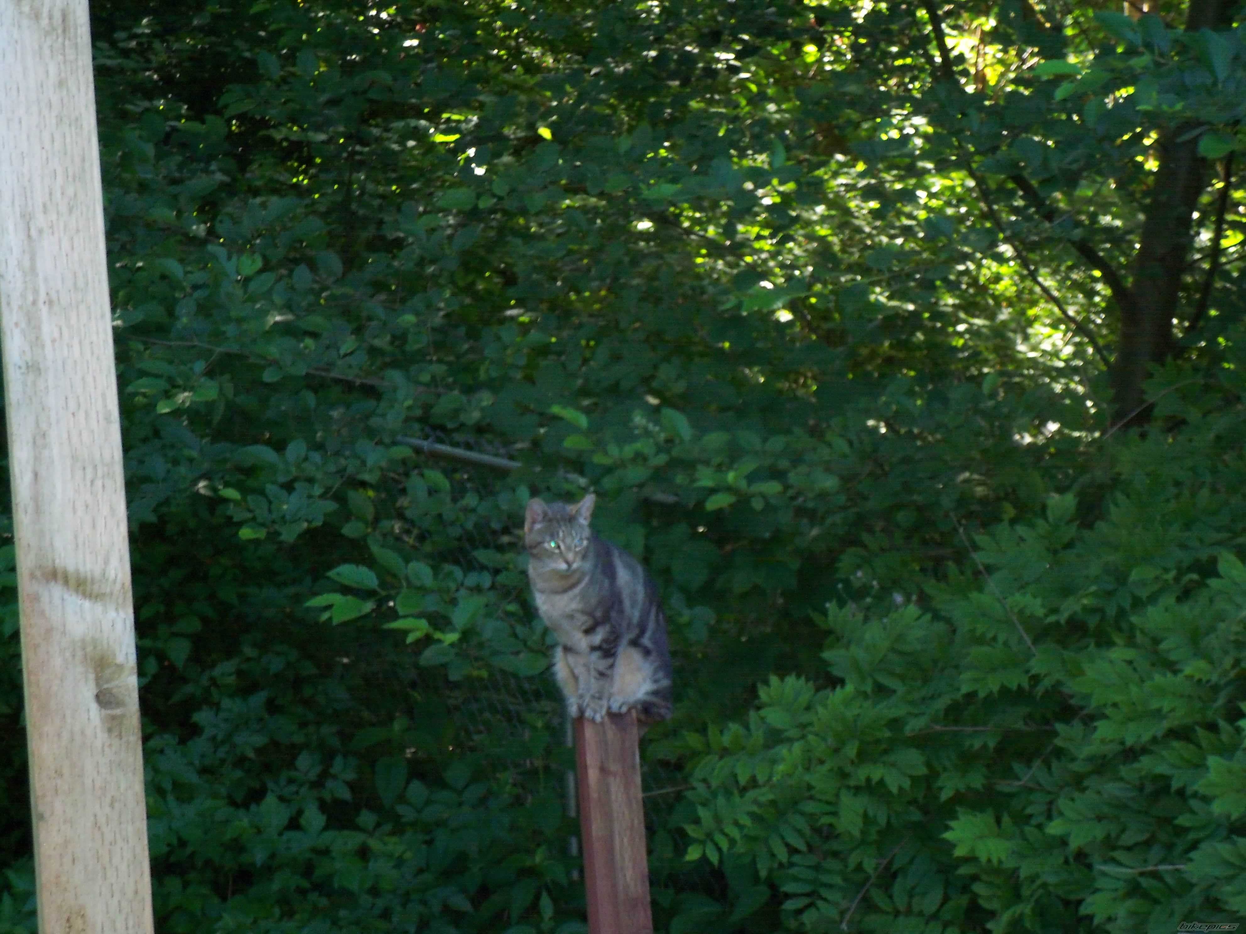 Photo 2237160