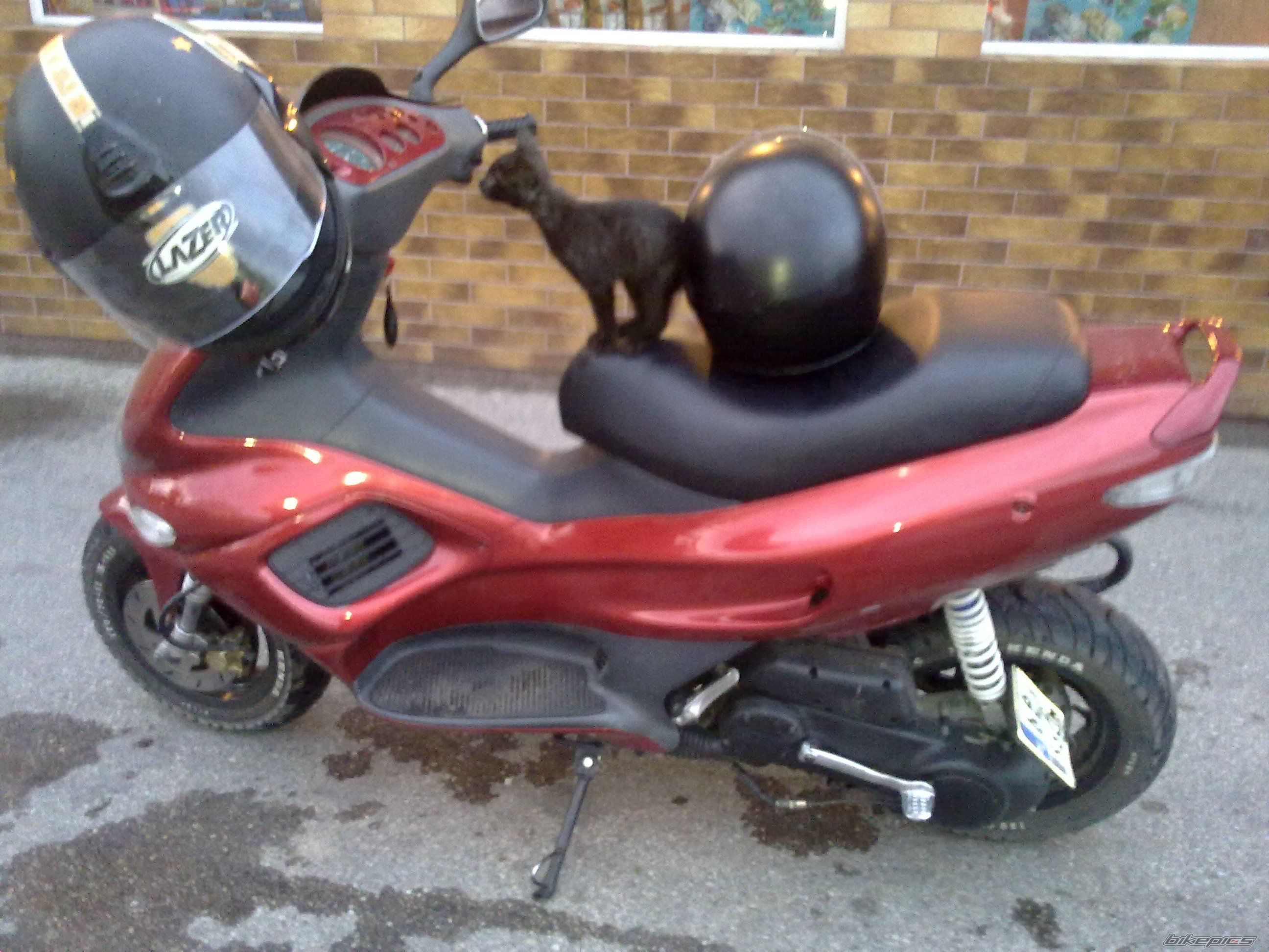 Bike Photo 2237310