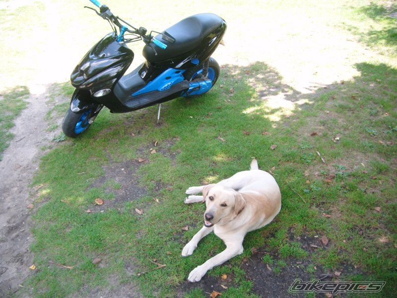 Bike Photo 2237329