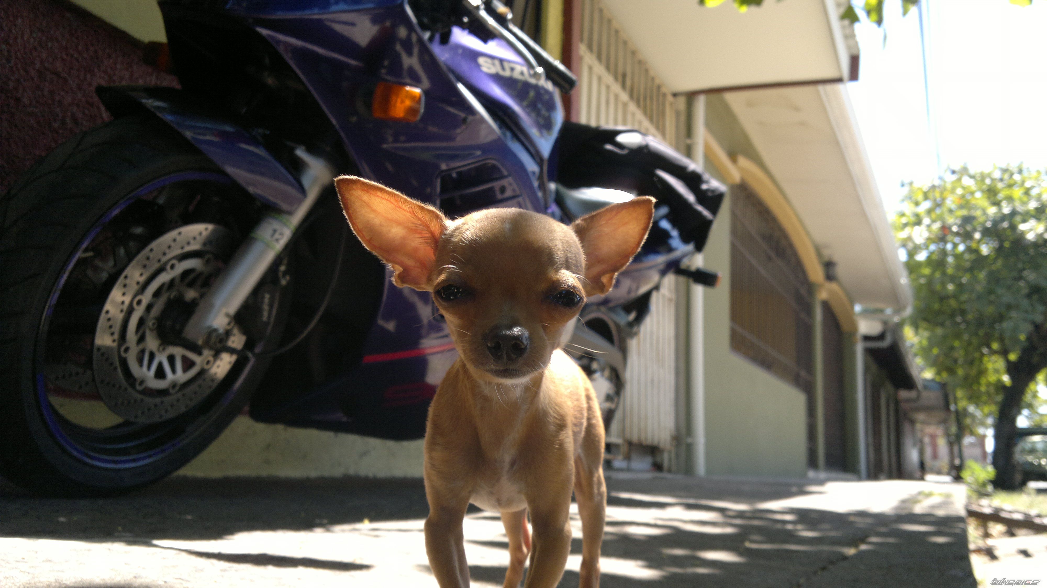 Photo 2237403