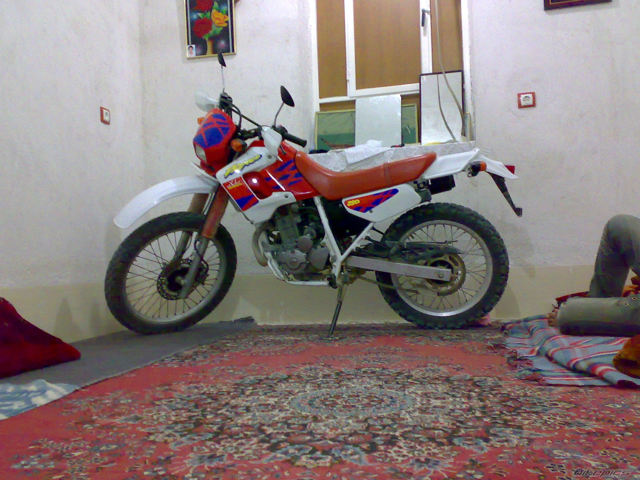 Photo 2237490