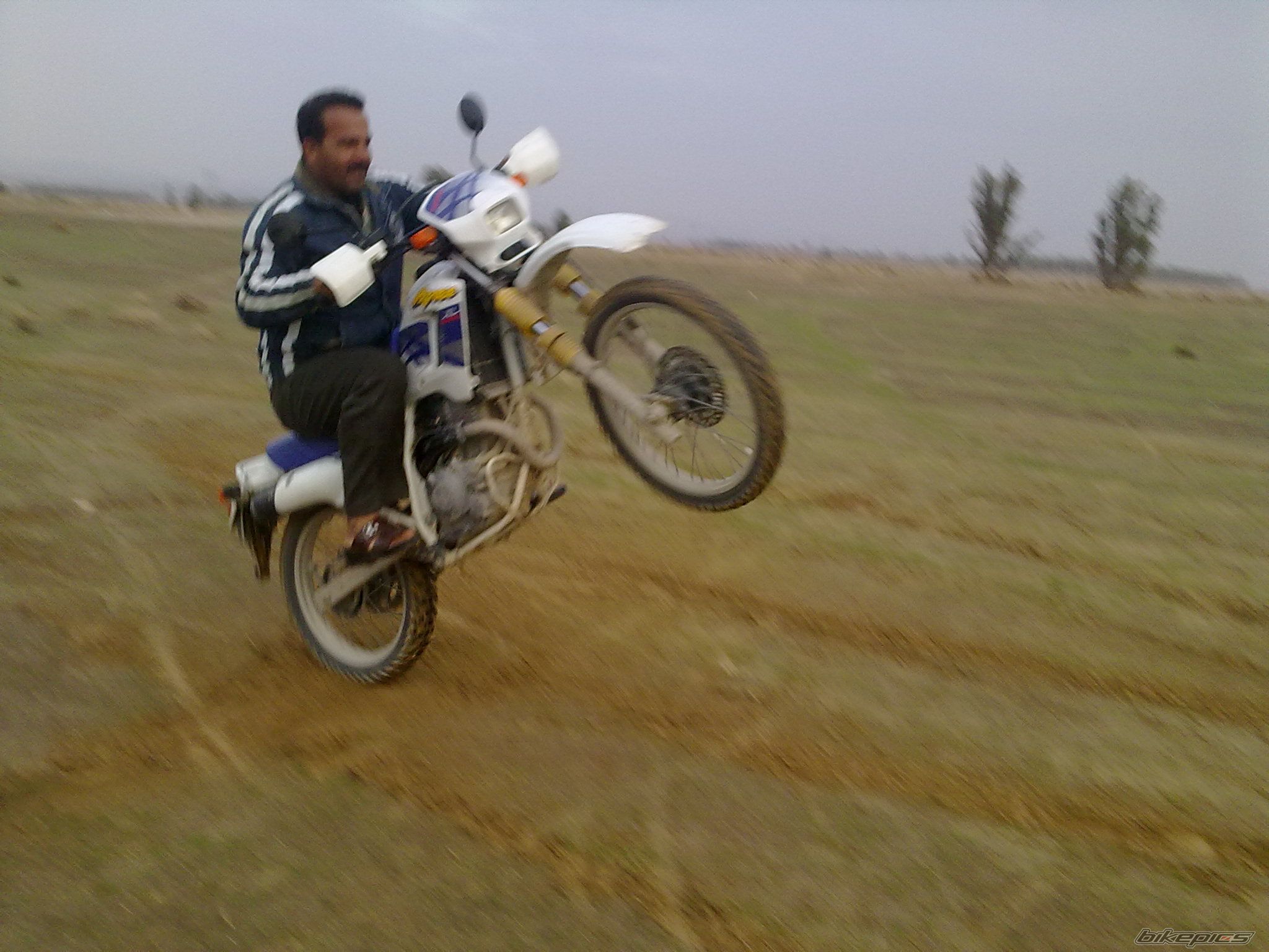 Photo 2237491