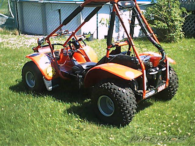 Photo 223759