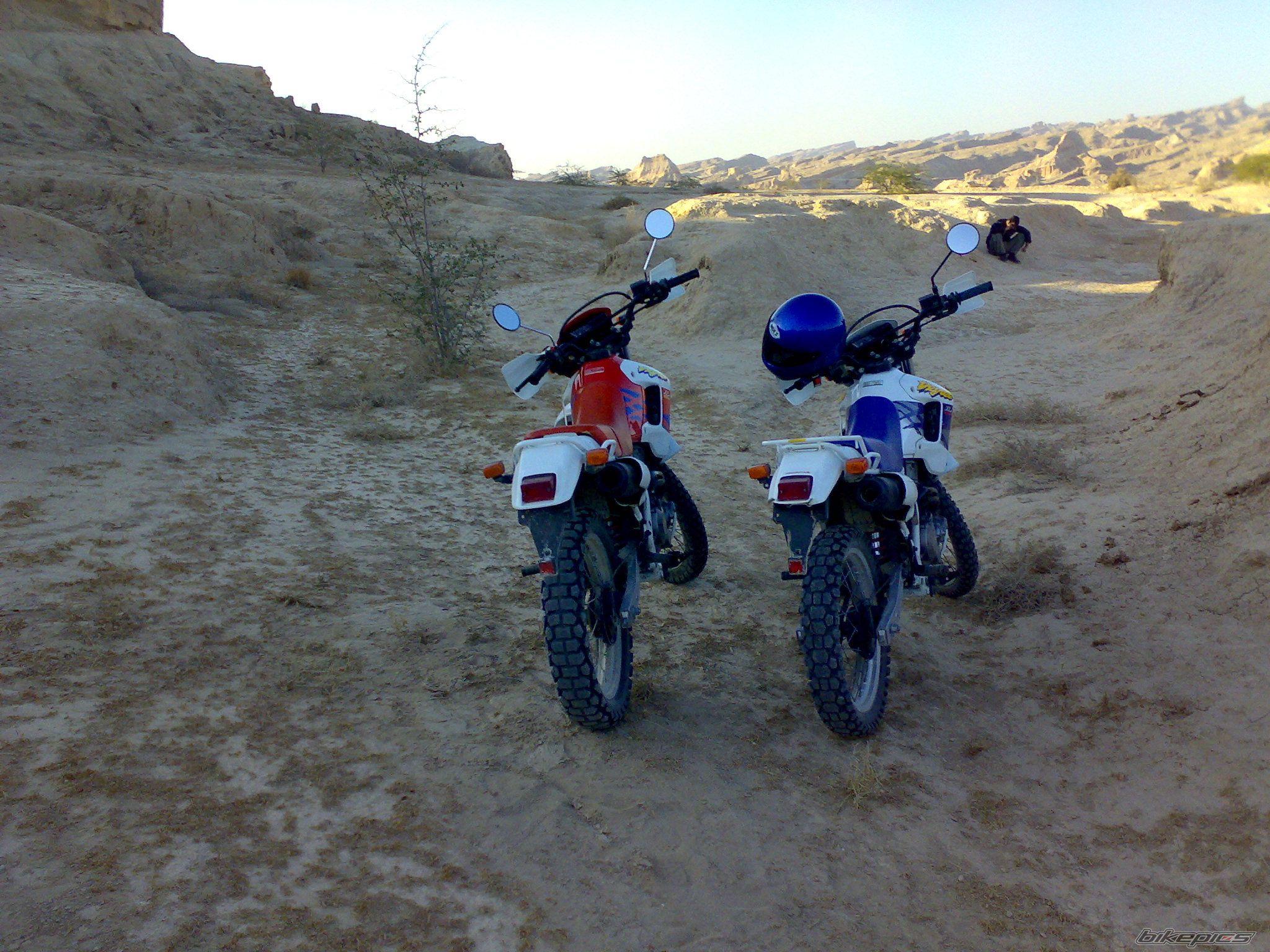 Photo 2237615