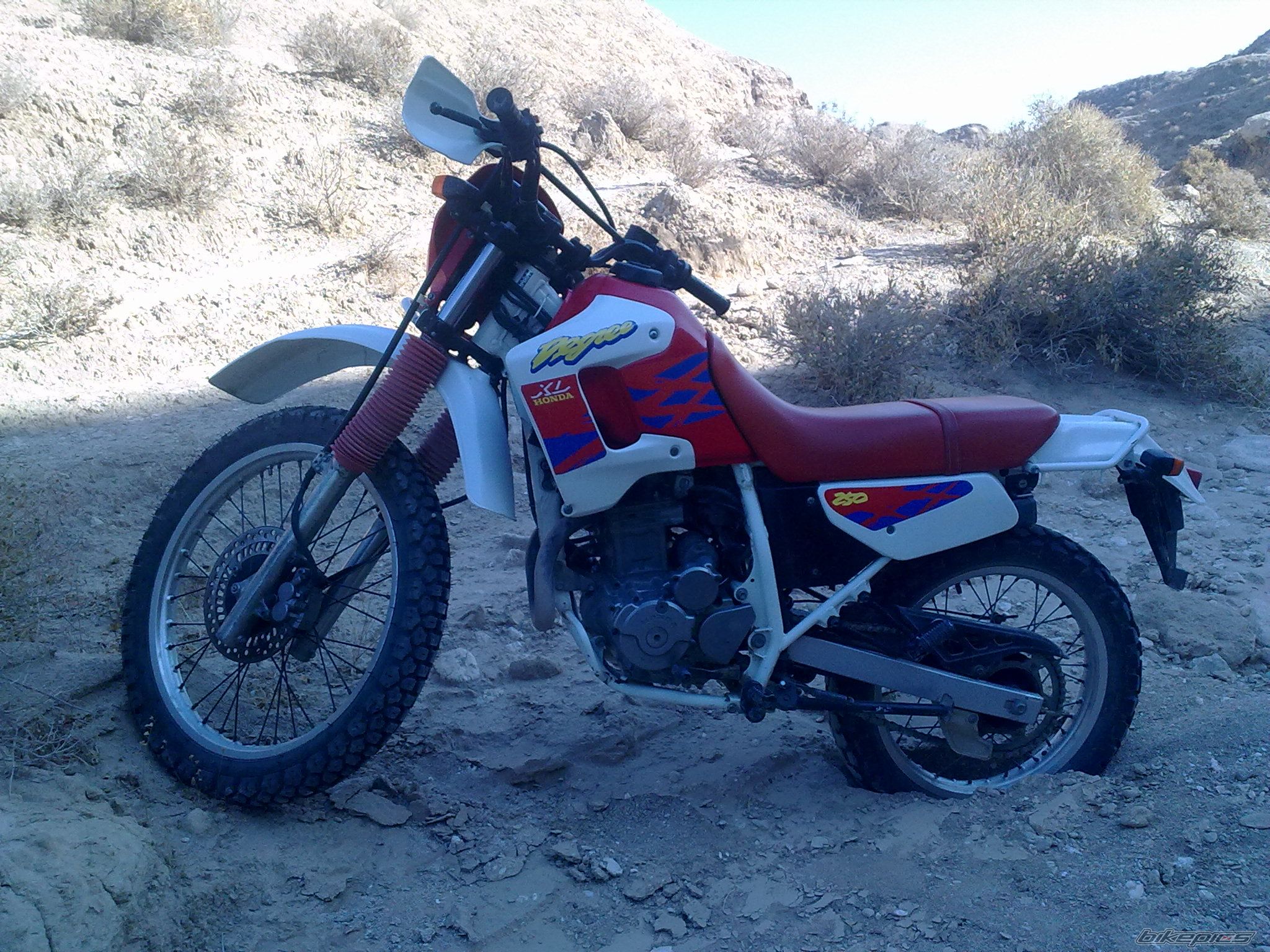 Photo 2237618