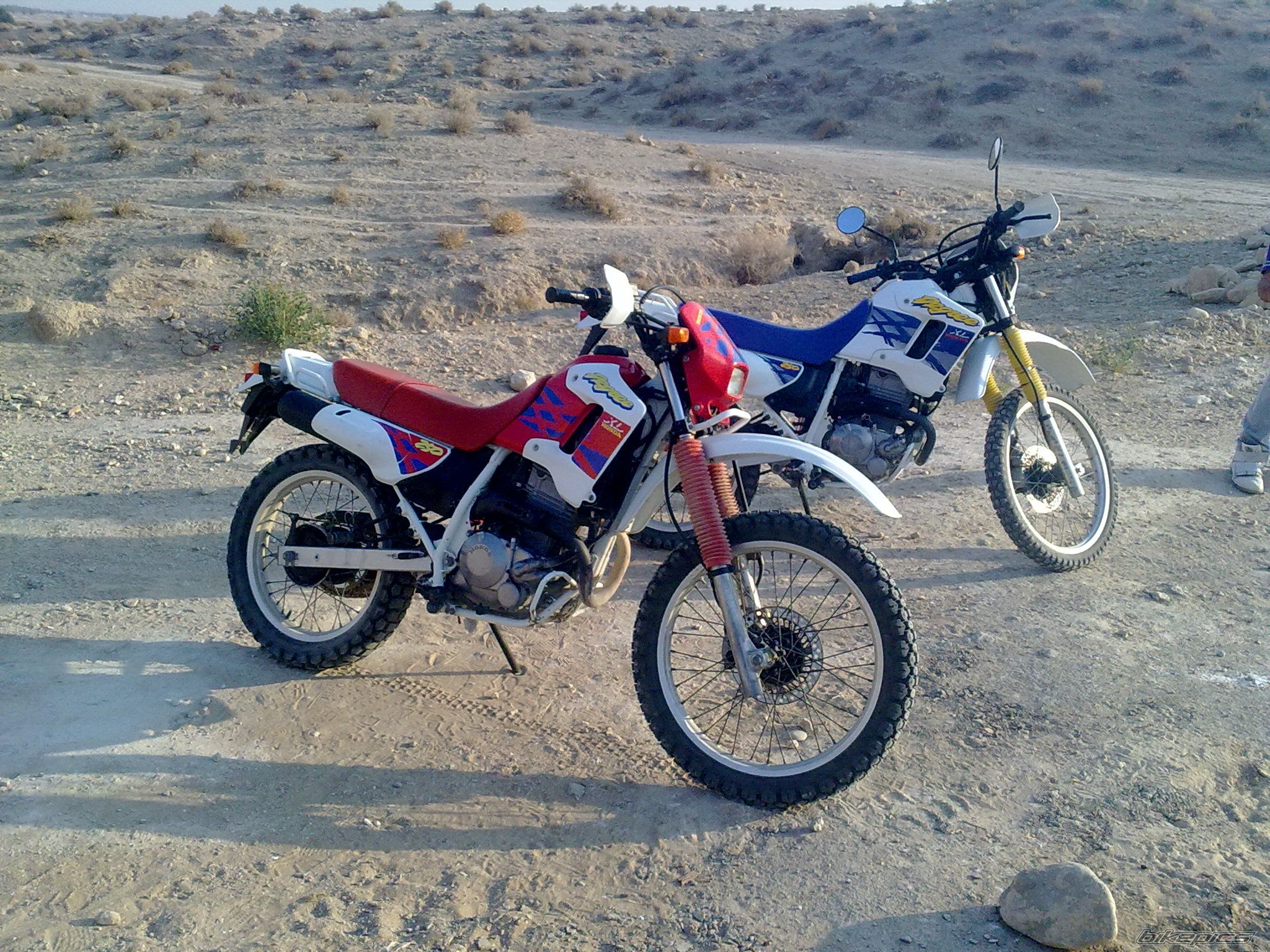 Photo 2237621