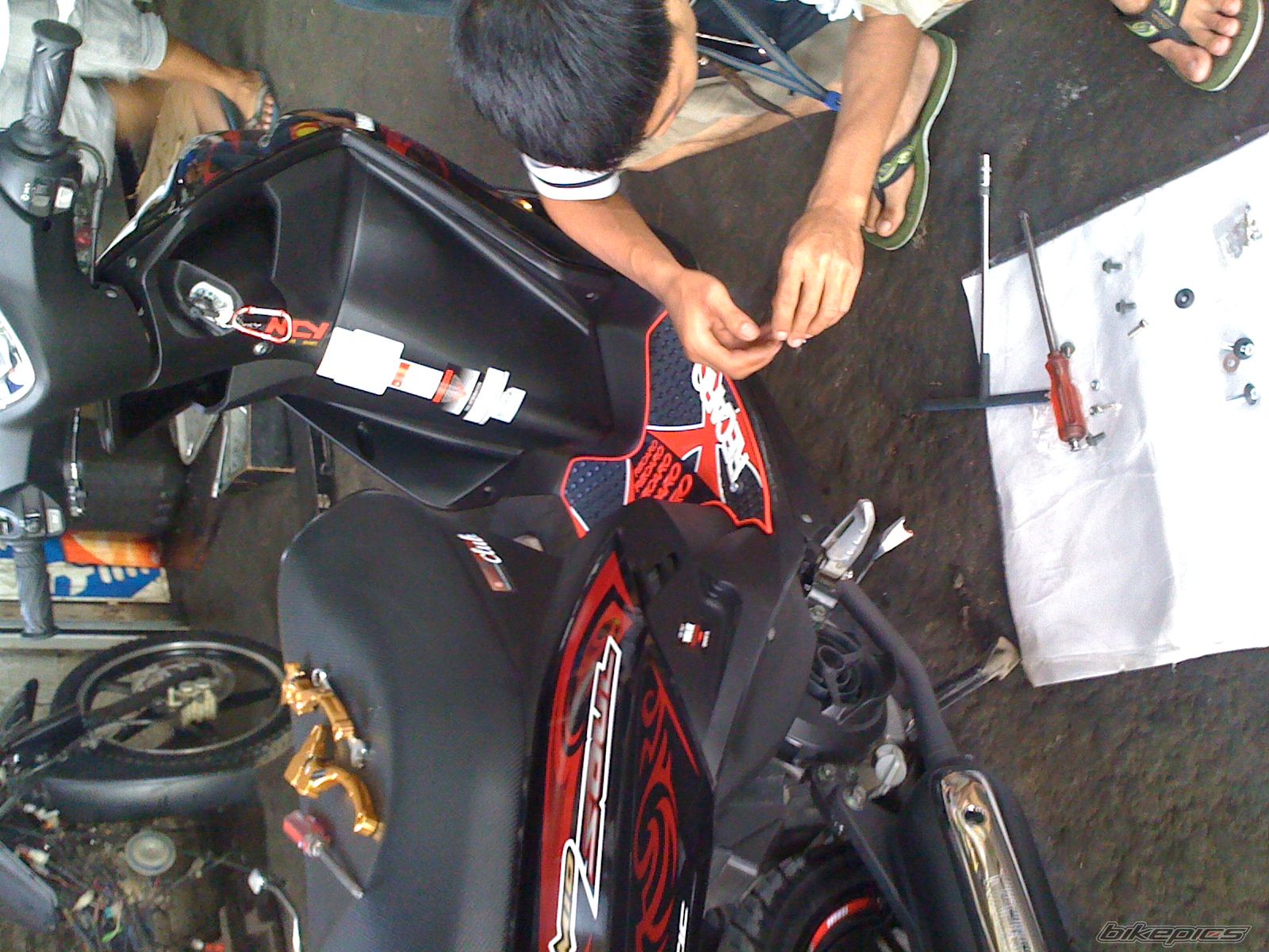 Photo 2237733