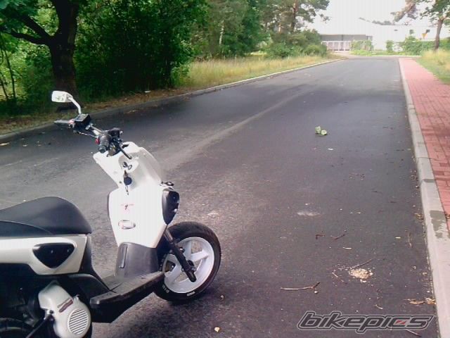 Photo 2237821
