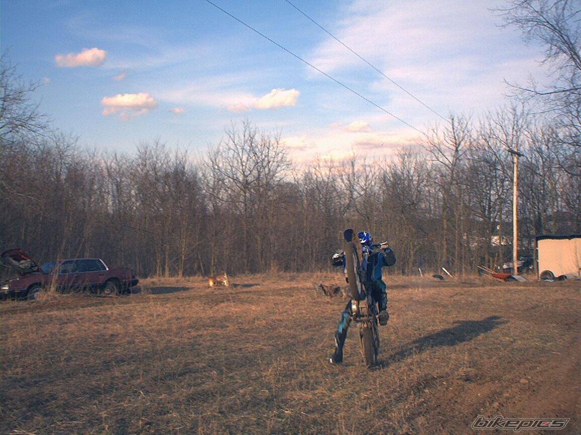 Photo 22379