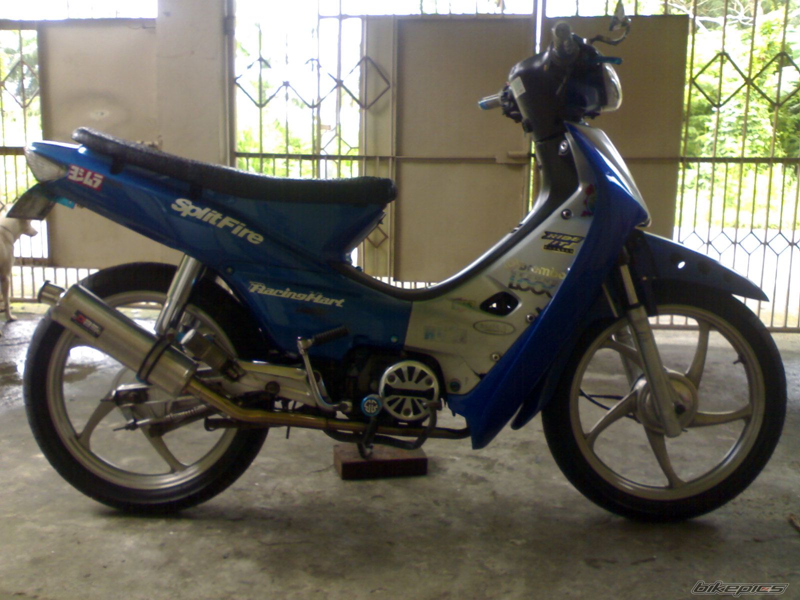 Photo 2238093