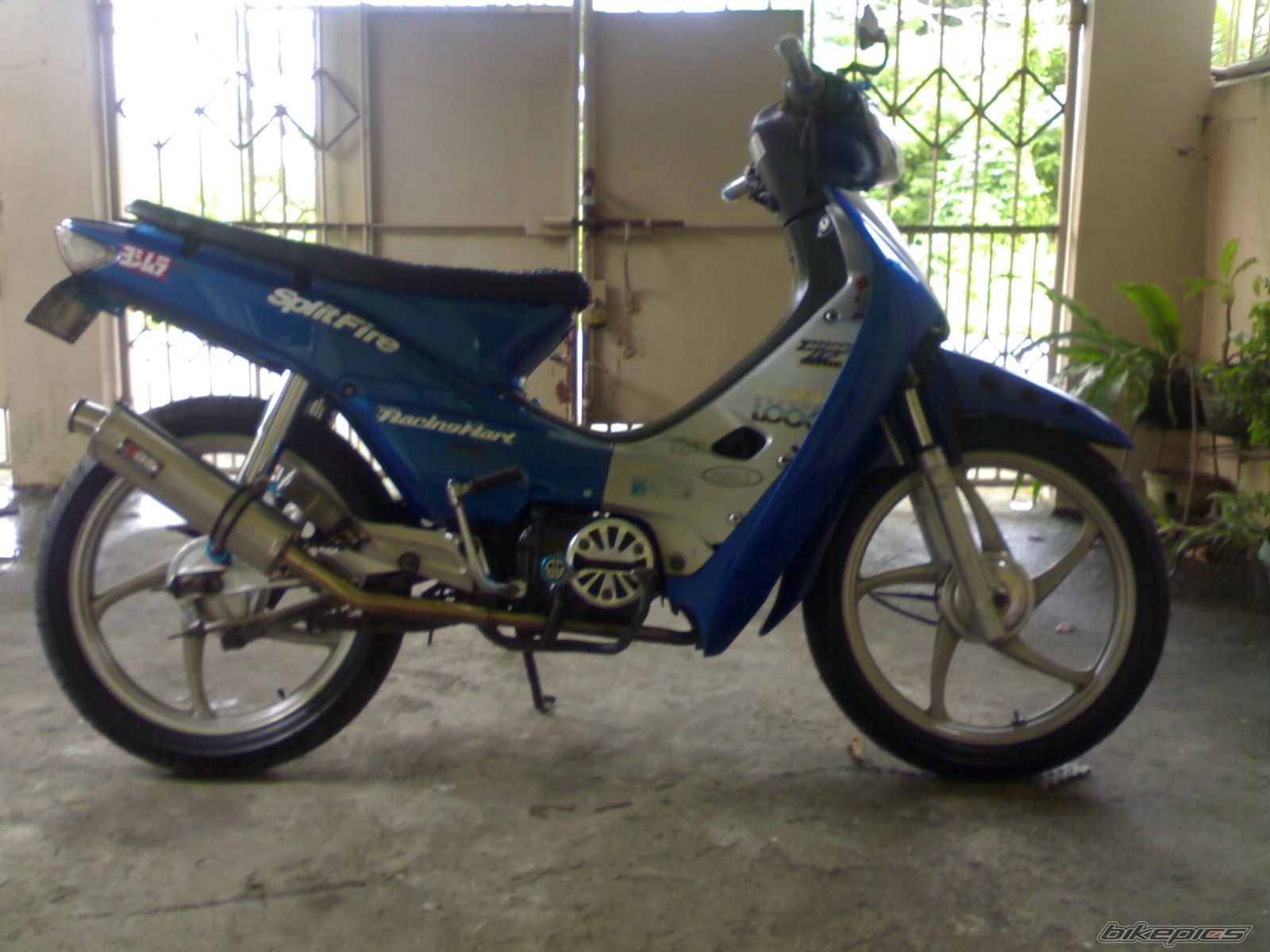 Photo 2238098