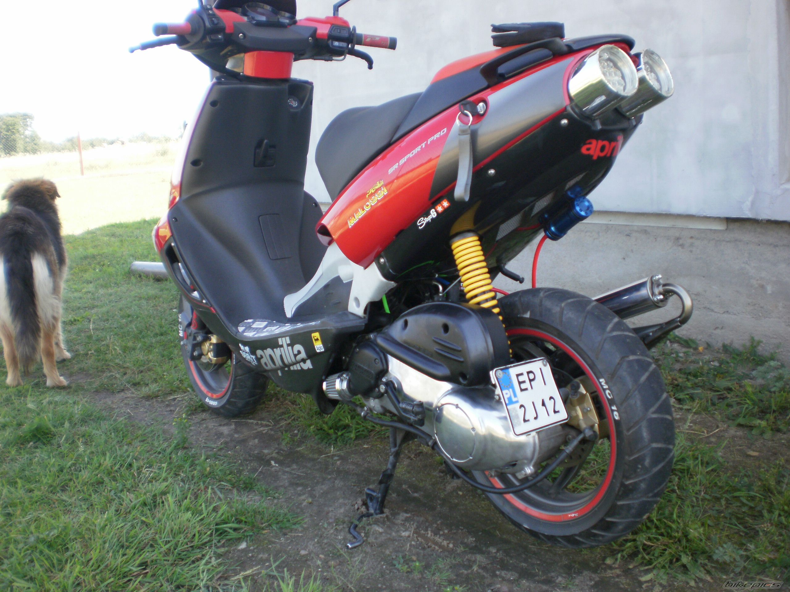 Photo 2238145