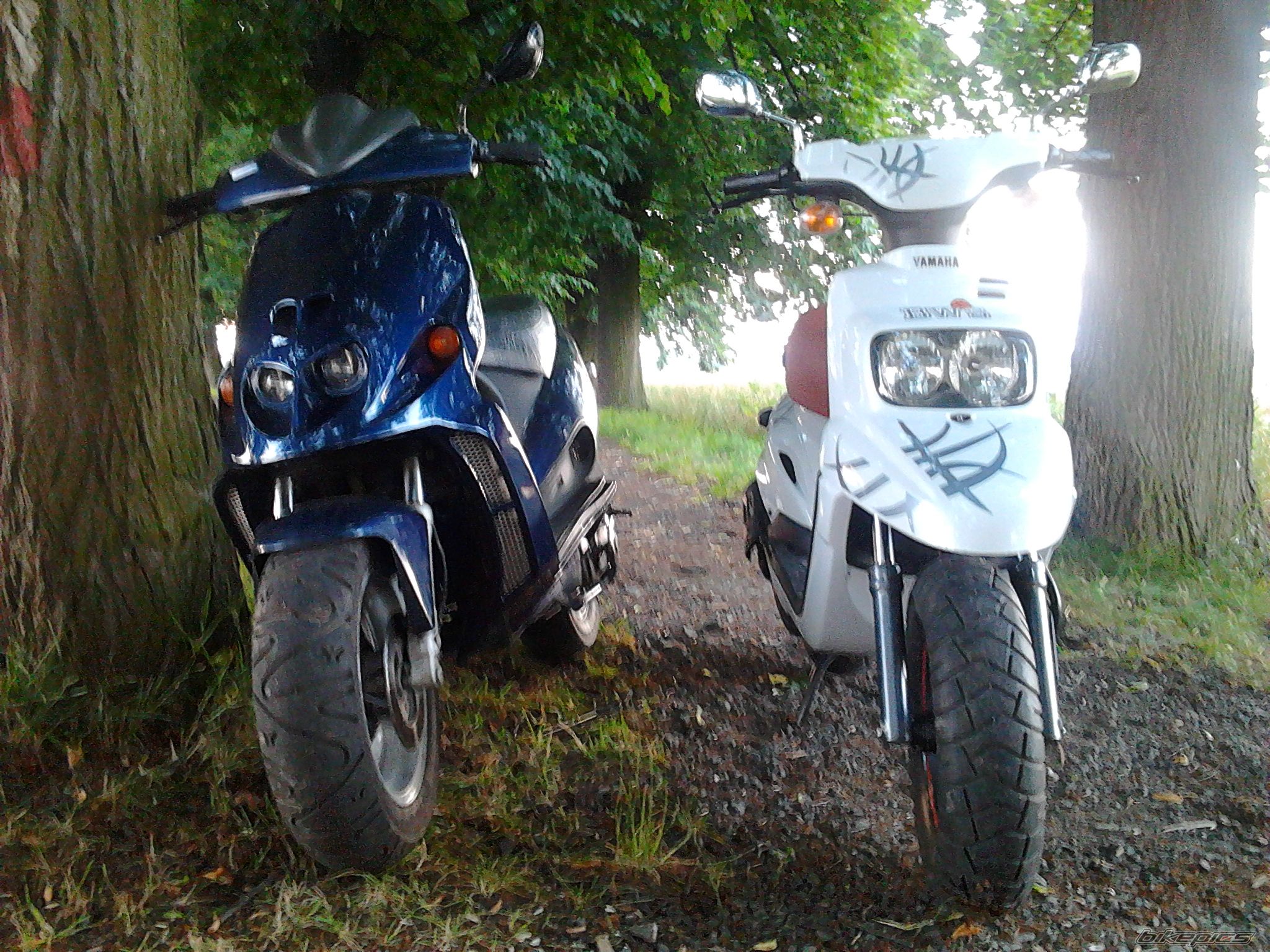 Bike Photo 2238154