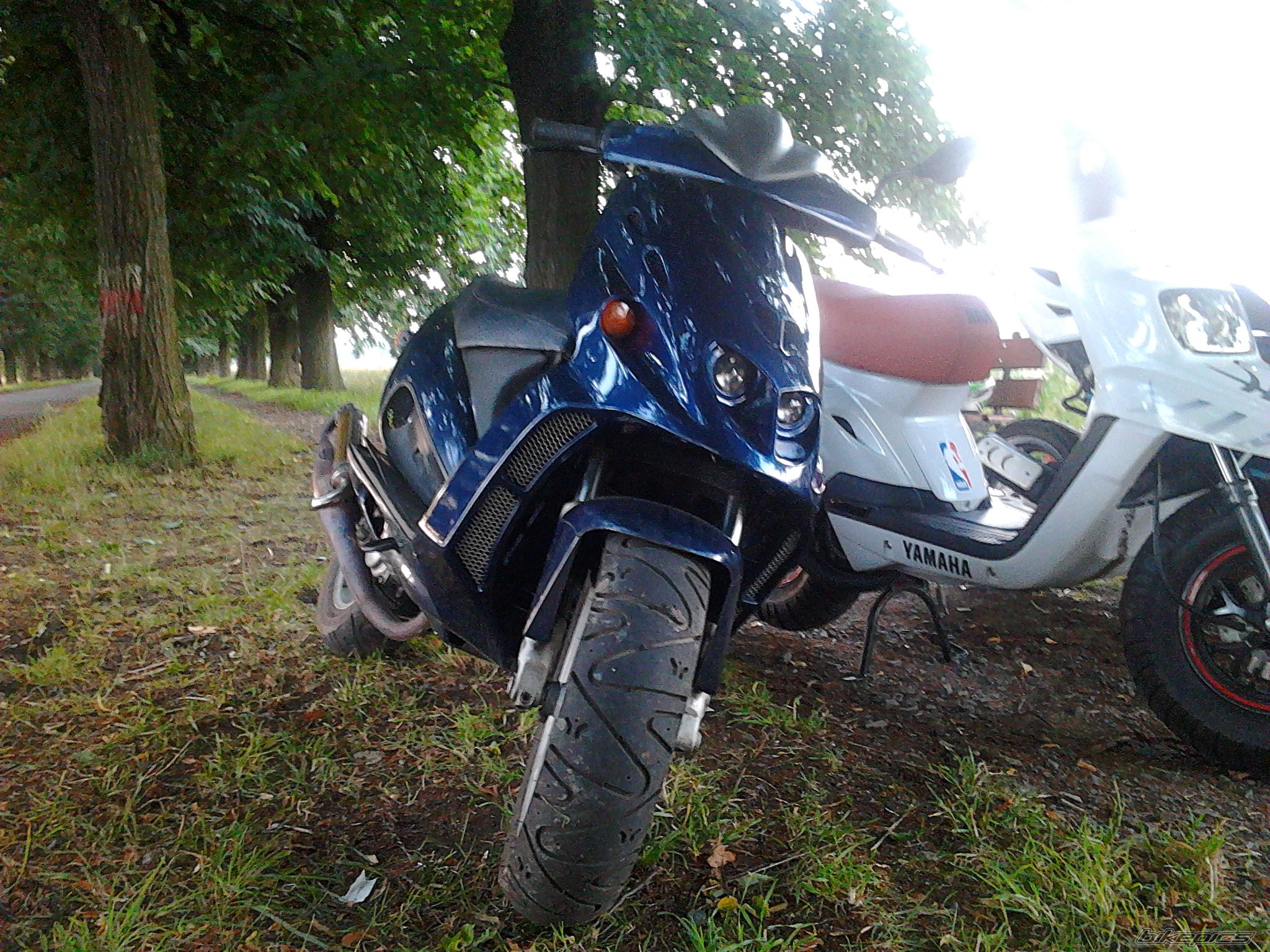 Photo 2238162