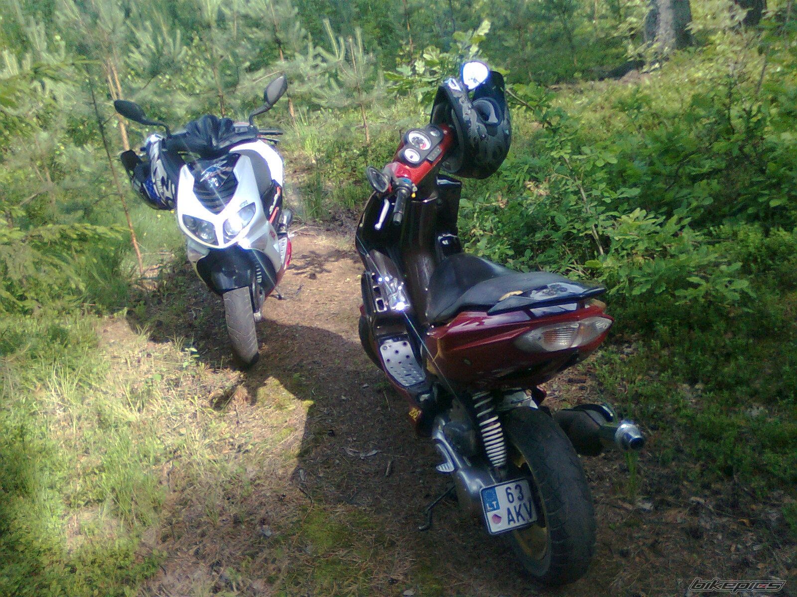 Photo 2238202