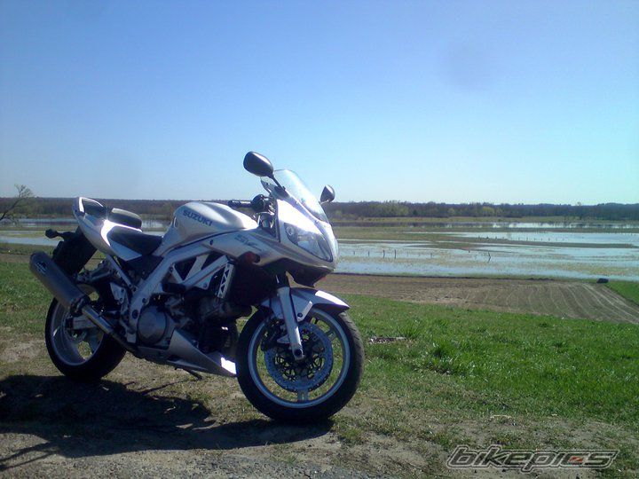 Photo 2238374