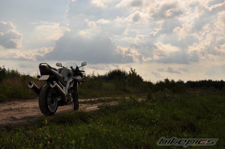 Photo 2238380