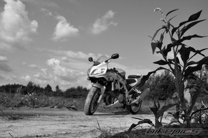 Photo 2238381
