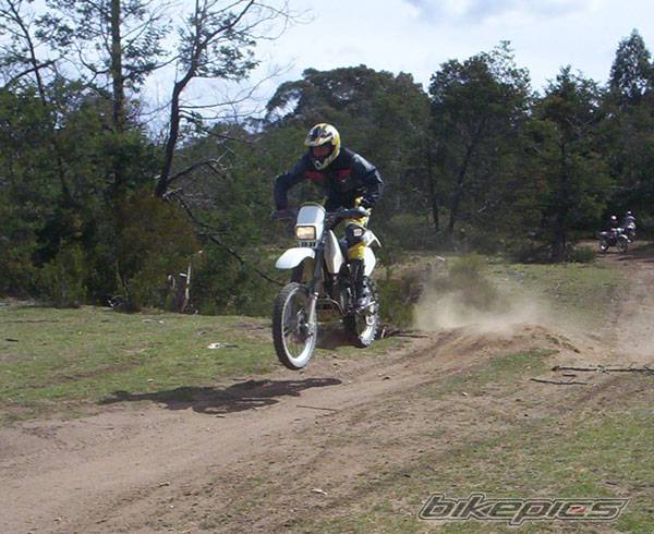 Photo 223845