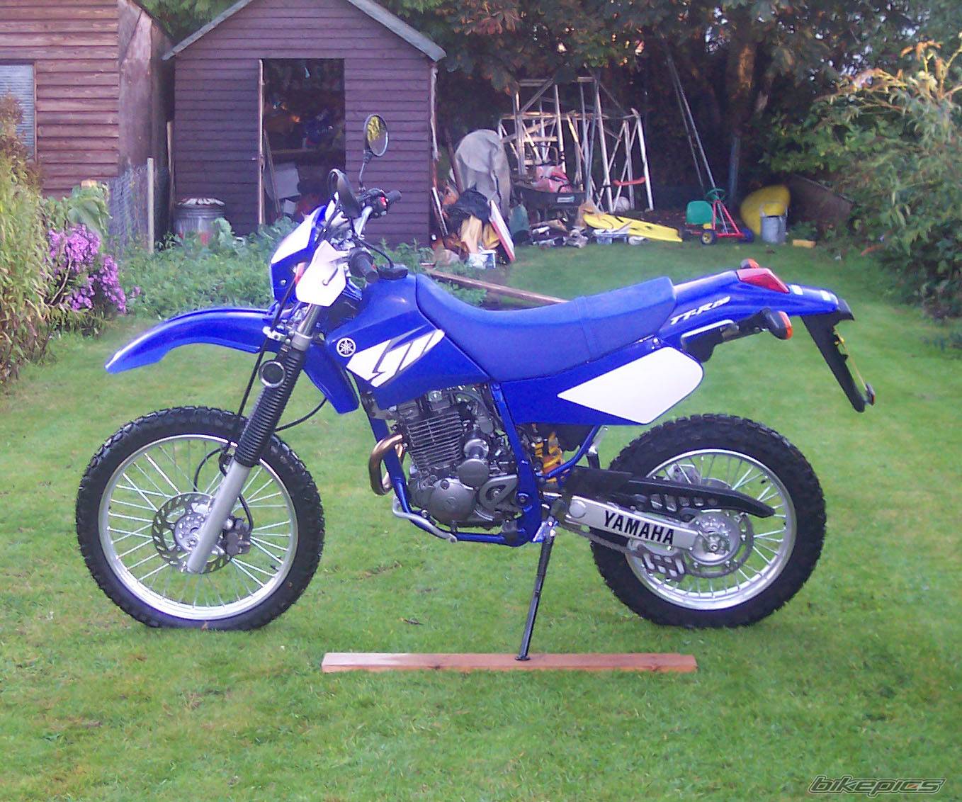 Photo 223855