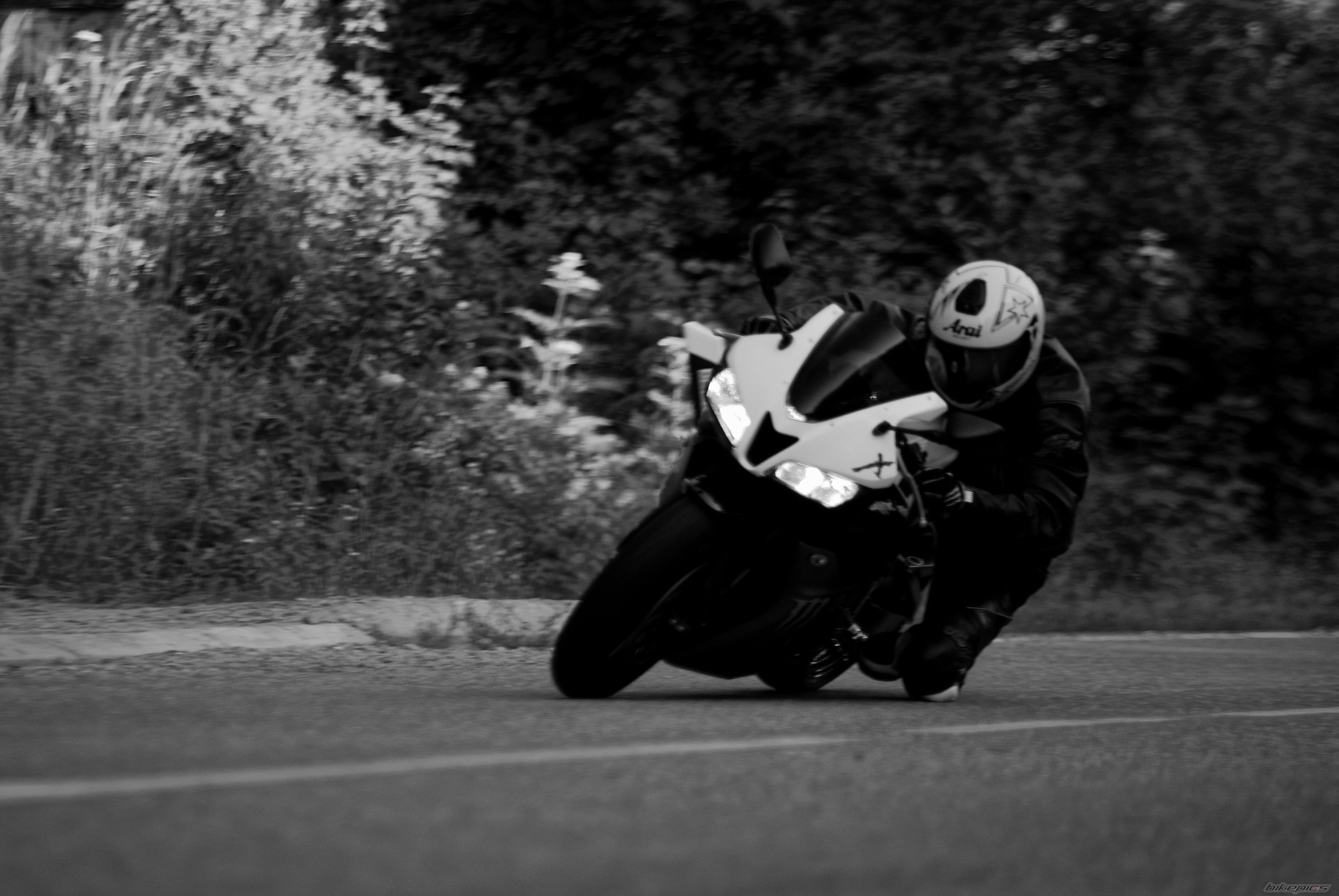 Photo 2238640