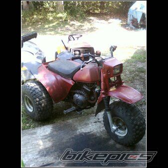 Photo 2238686
