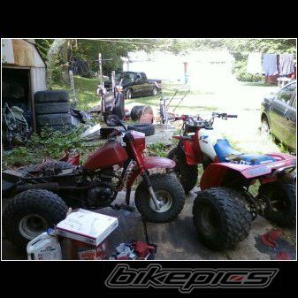 Bike Photo 2238688