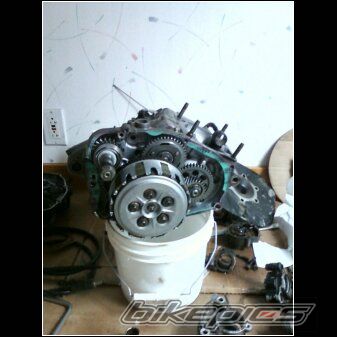 Photo 2238693