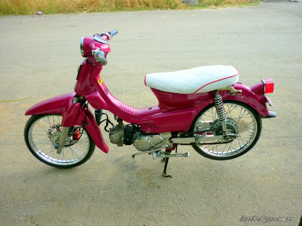 Photo 2238744