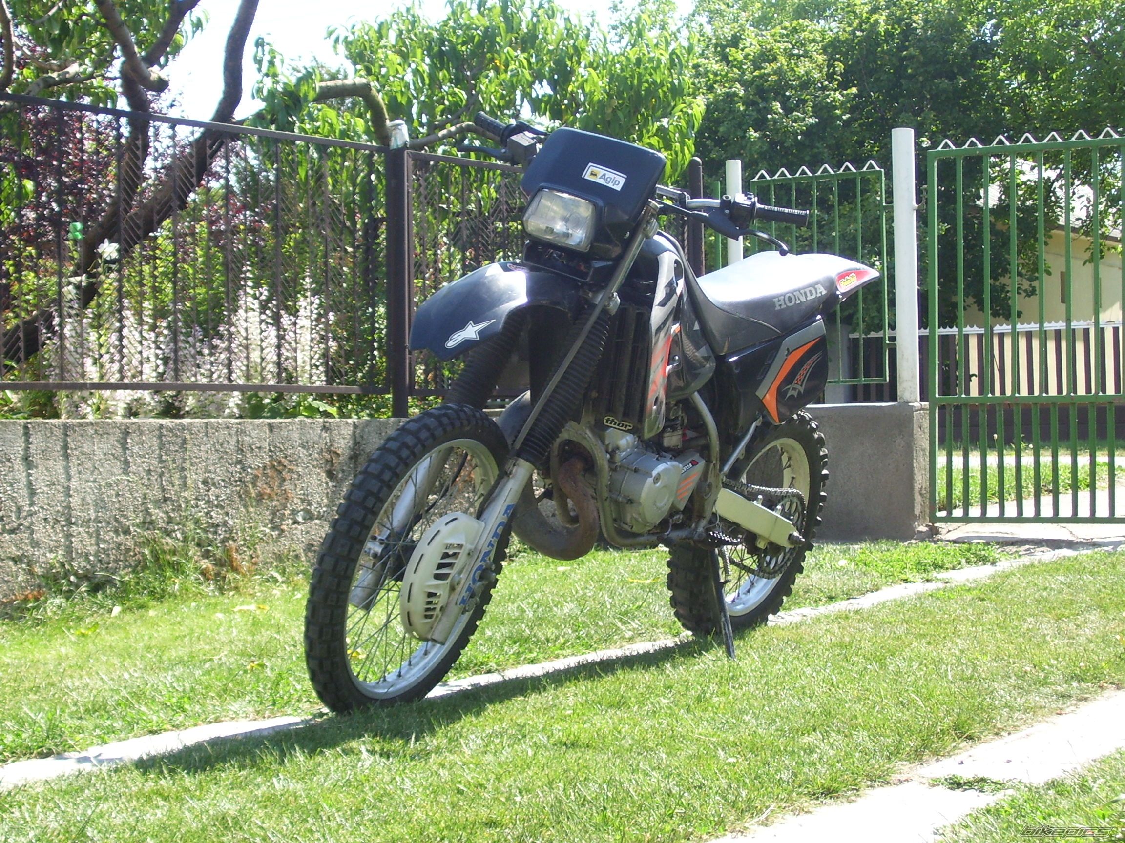Photo 2239004