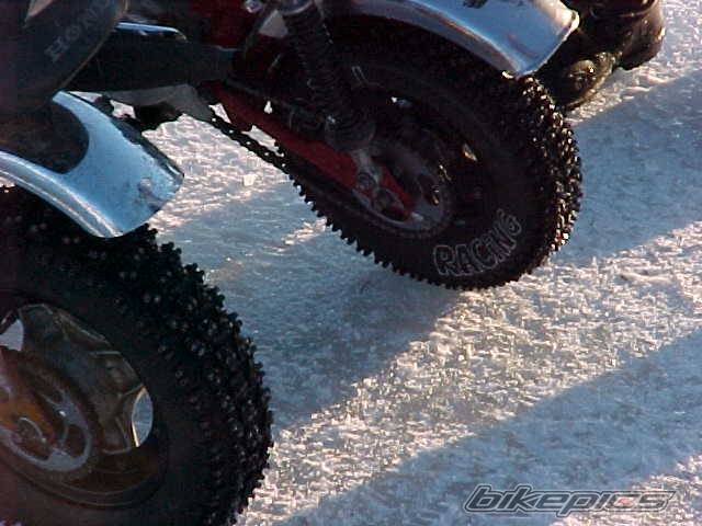 Photo 223908