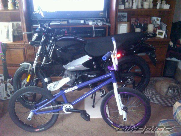 Photo 2239093