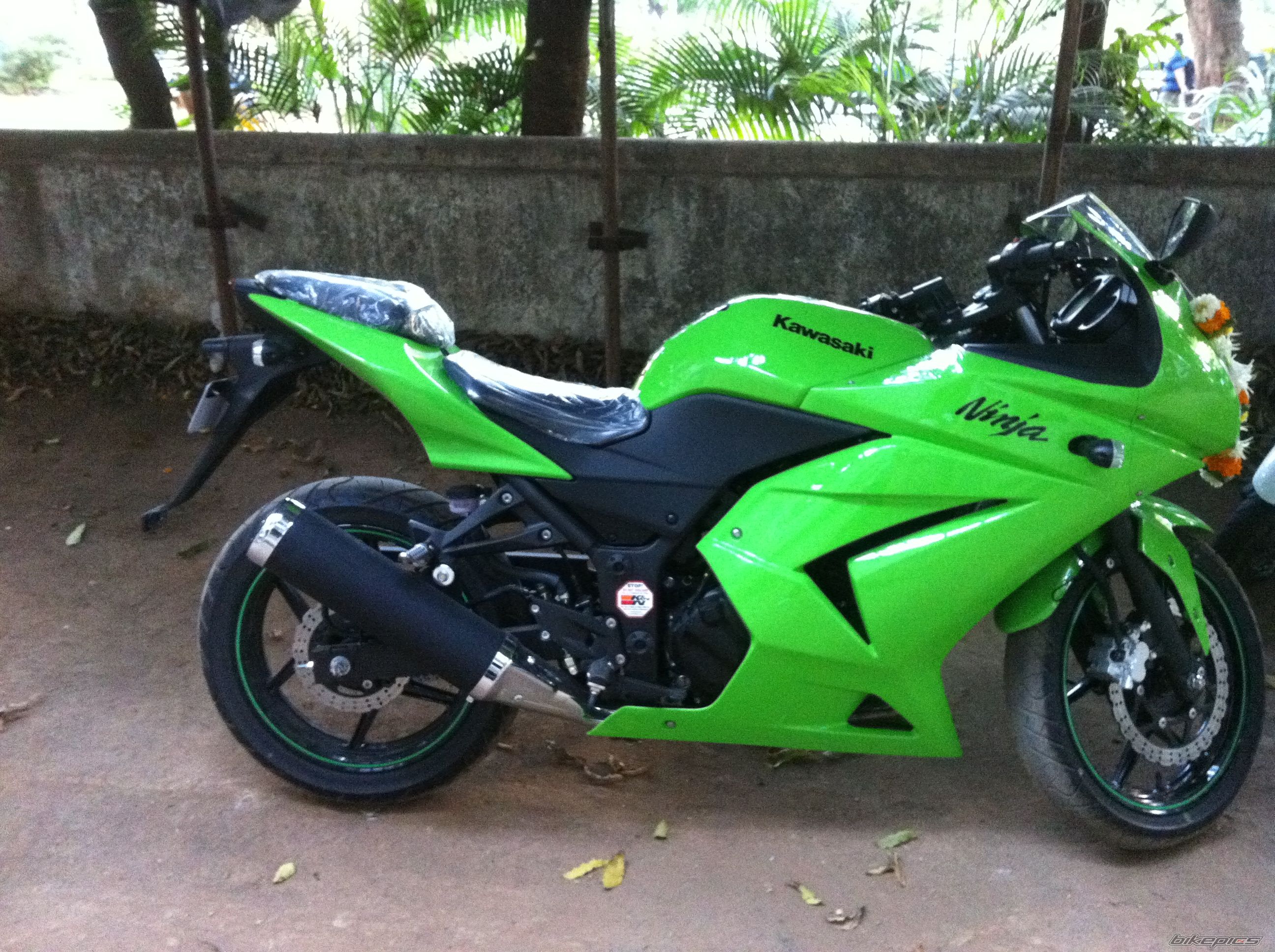 Photo 2239099