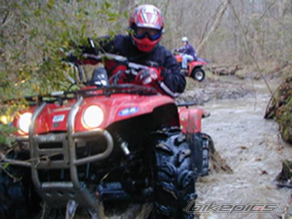 Photo 22391