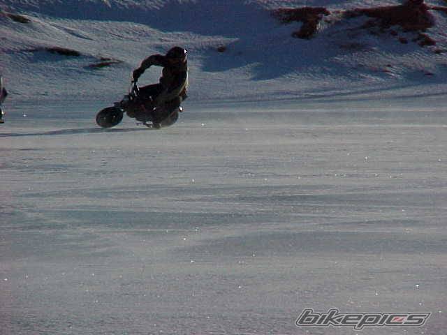 Photo 223912