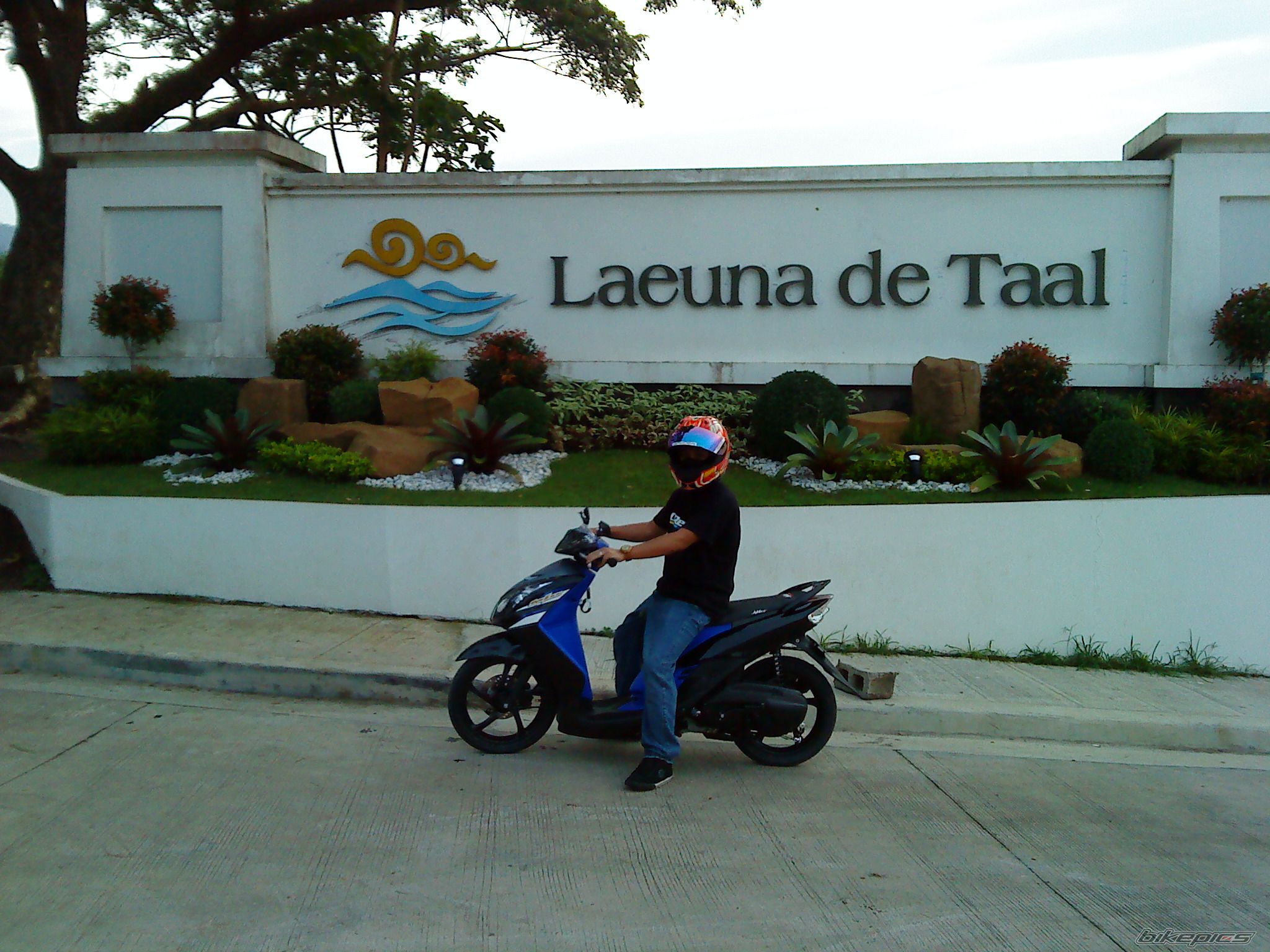 Photo 2239207