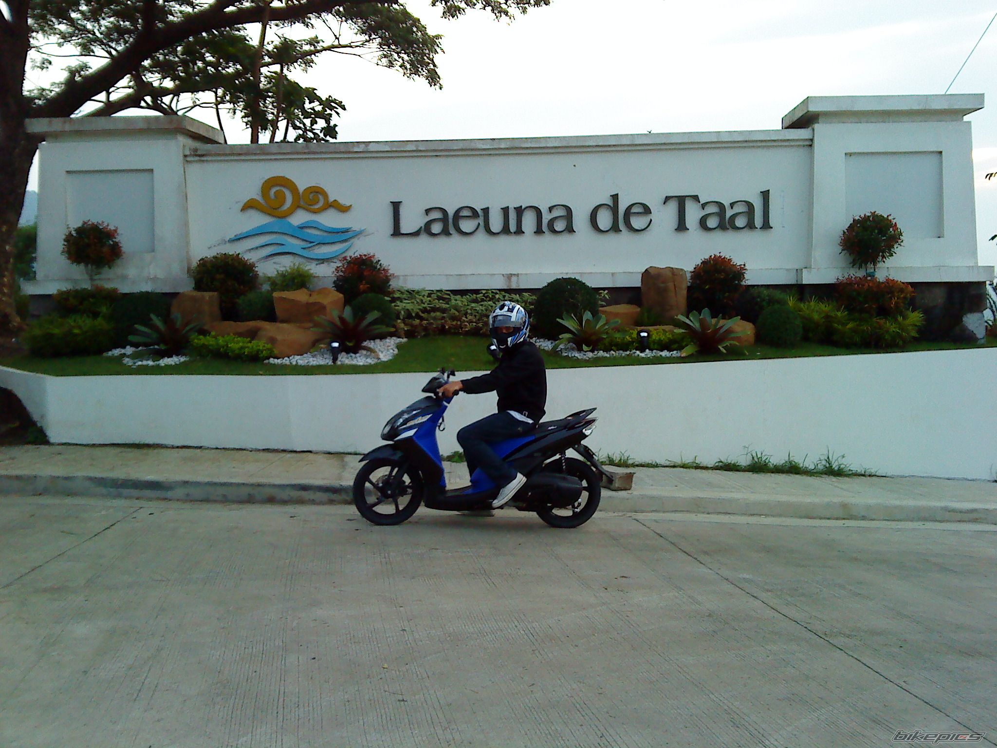 Photo 2239239
