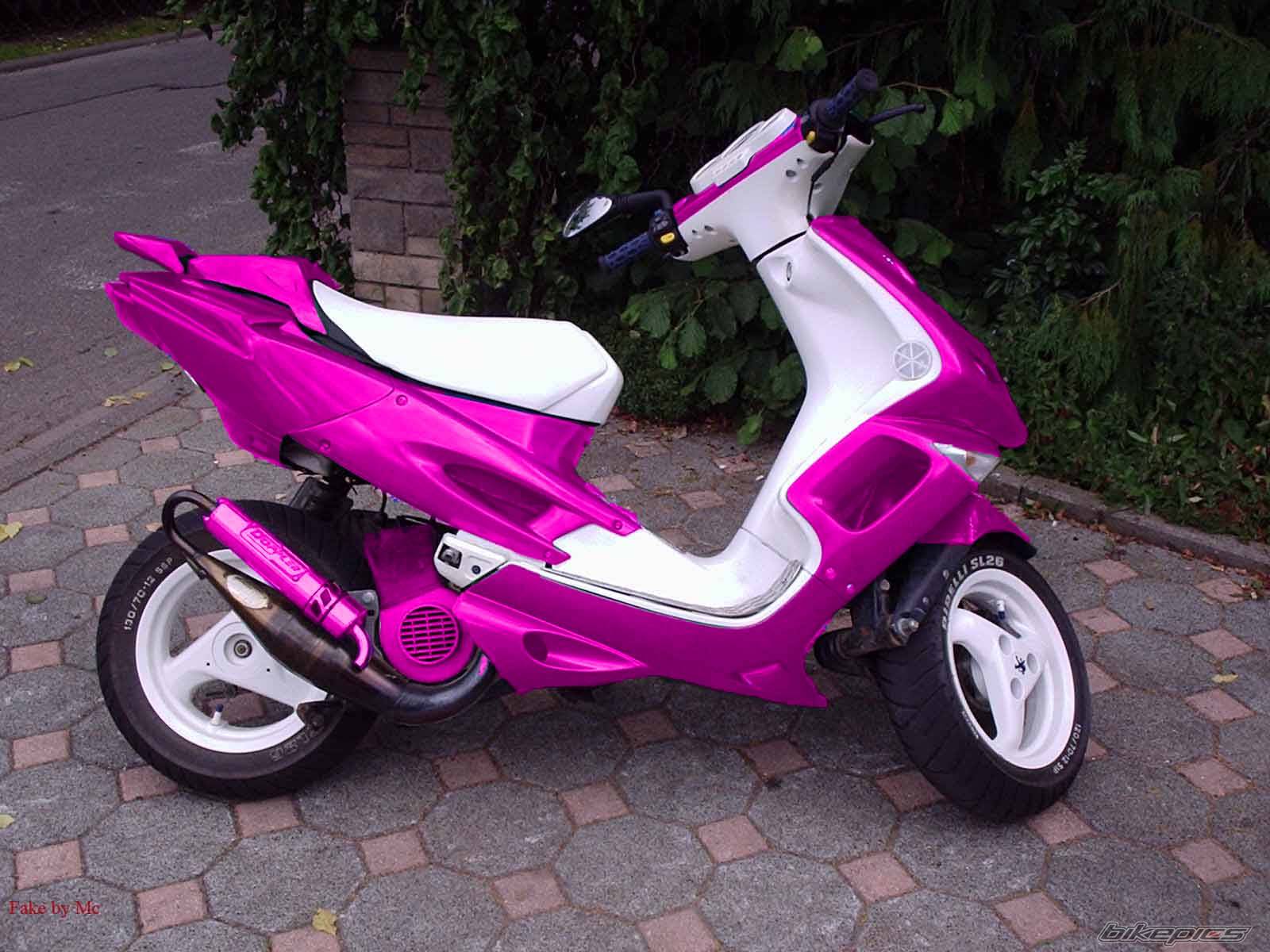 Photo 223942