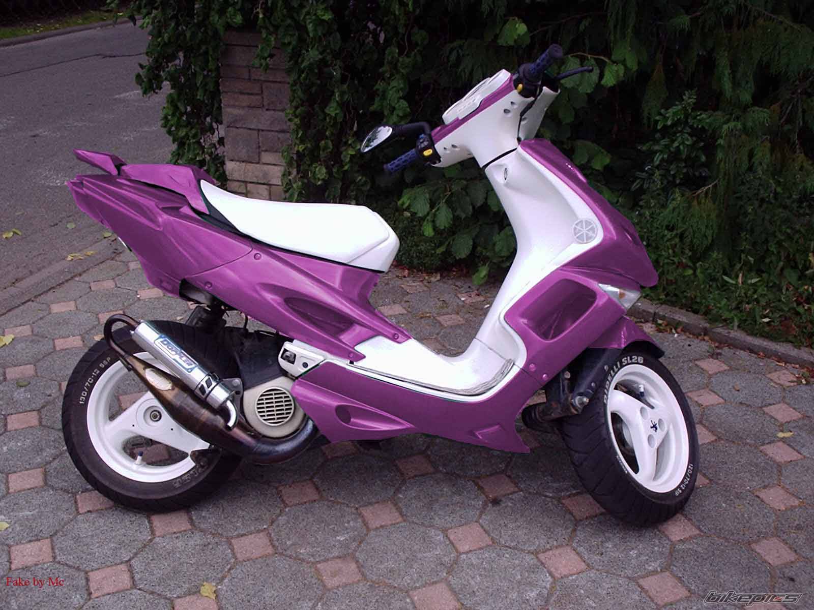 Photo 223943