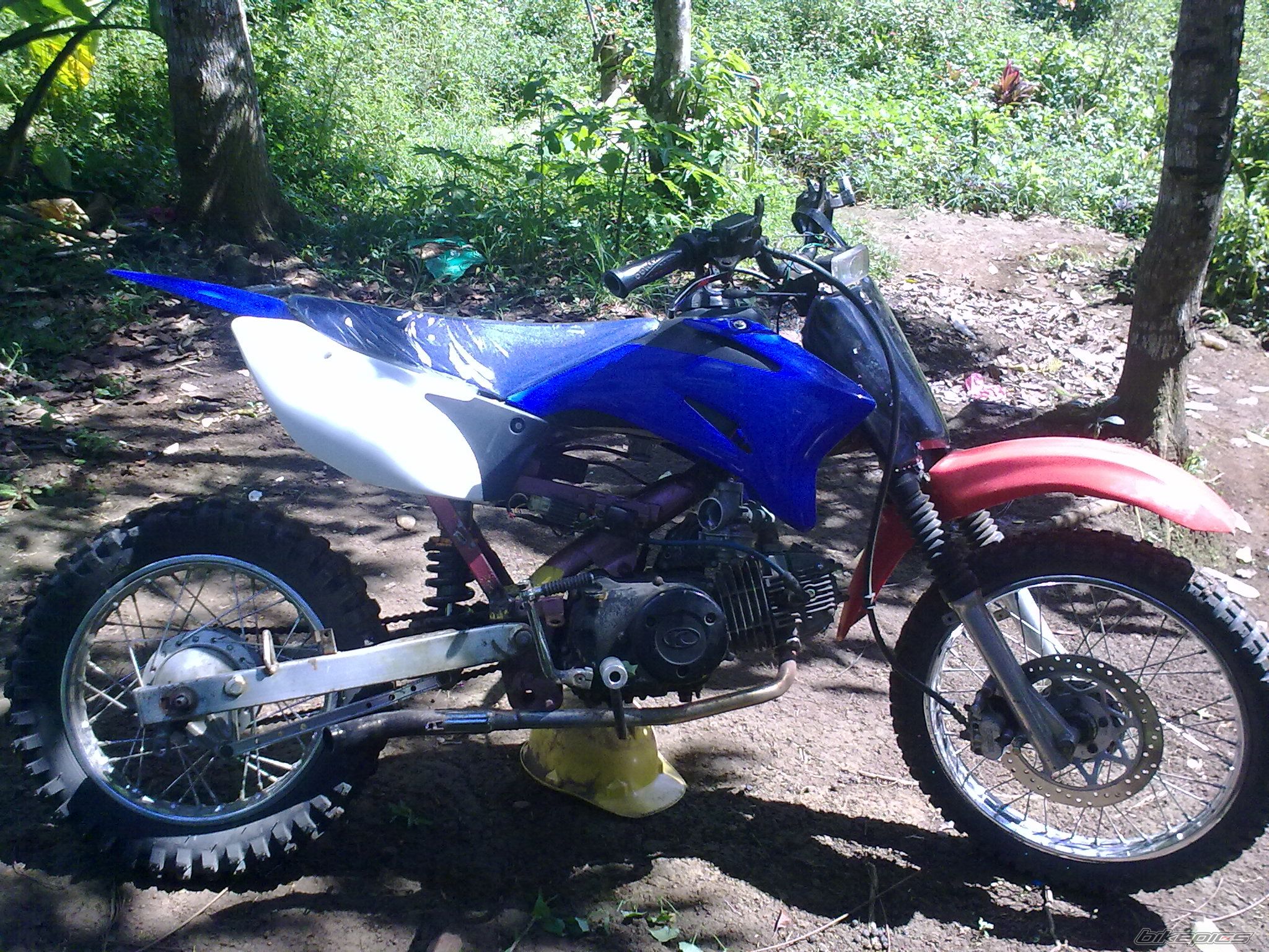 Photo 2239434