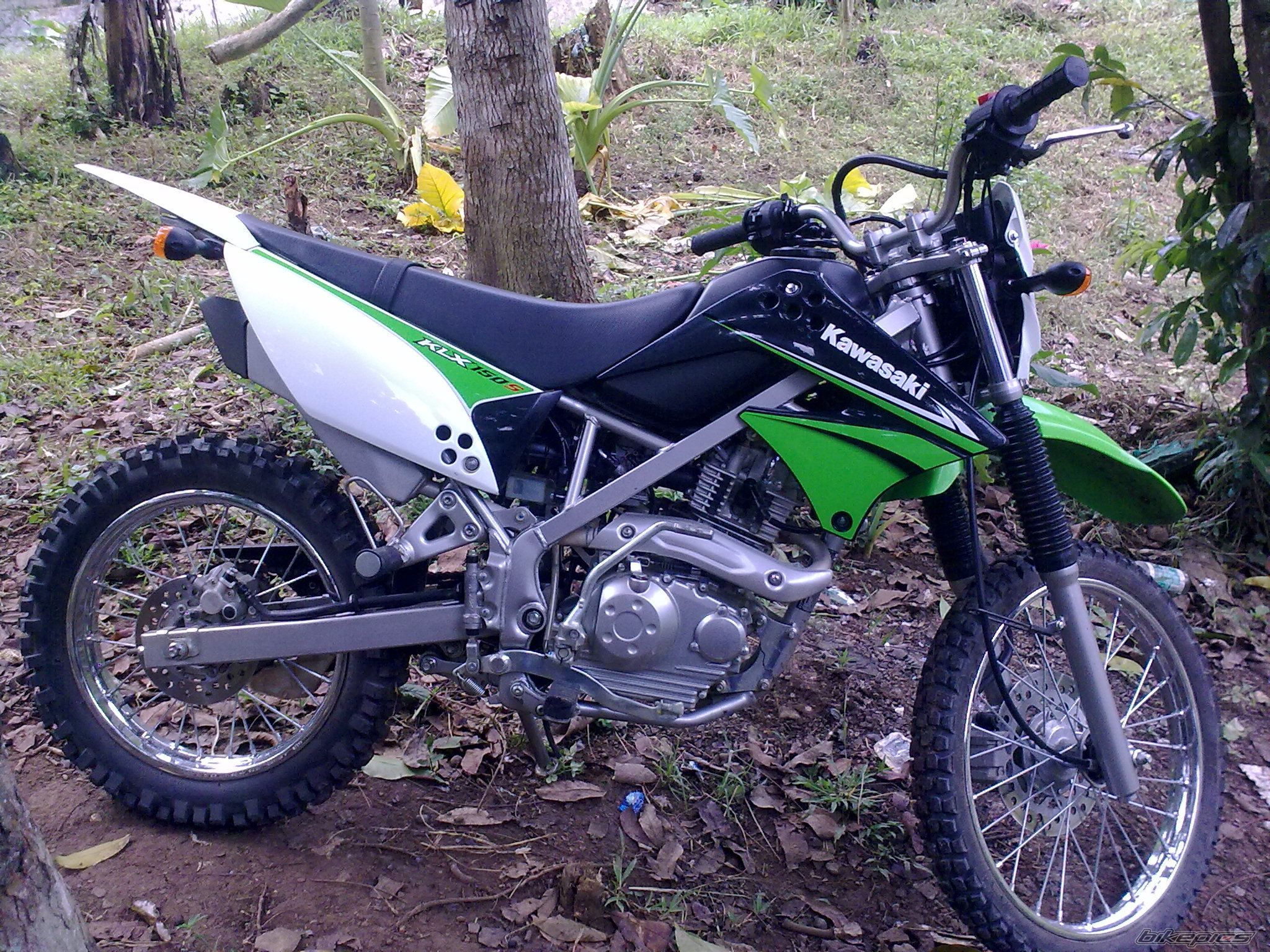 Photo 2239440