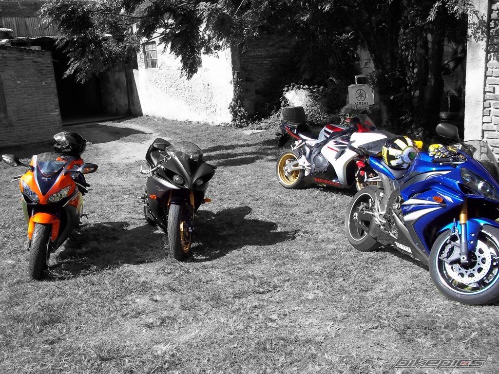 Photo 2239470