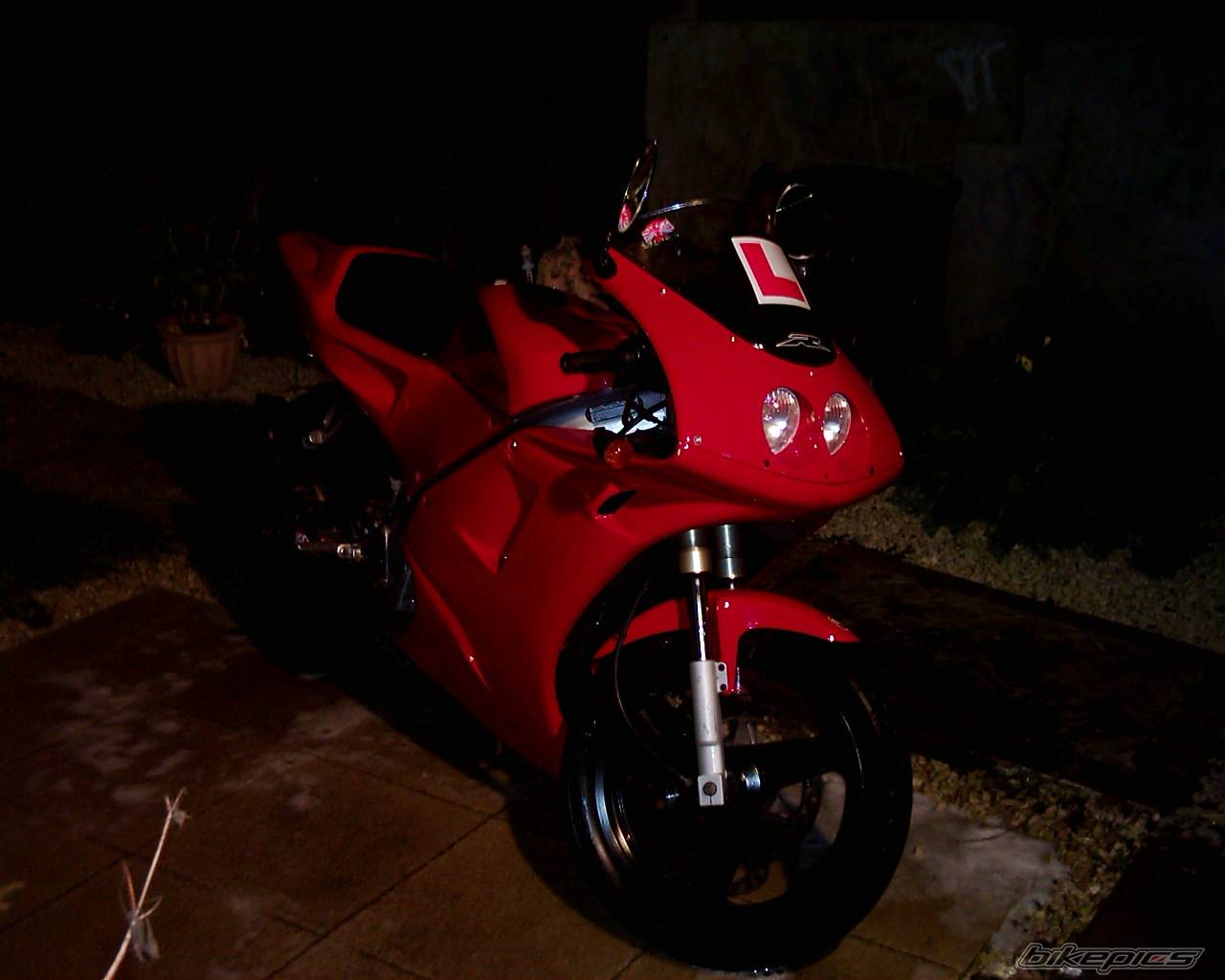 Photo 223973