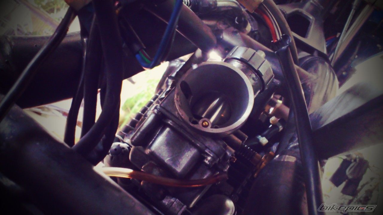 Photo 2239755