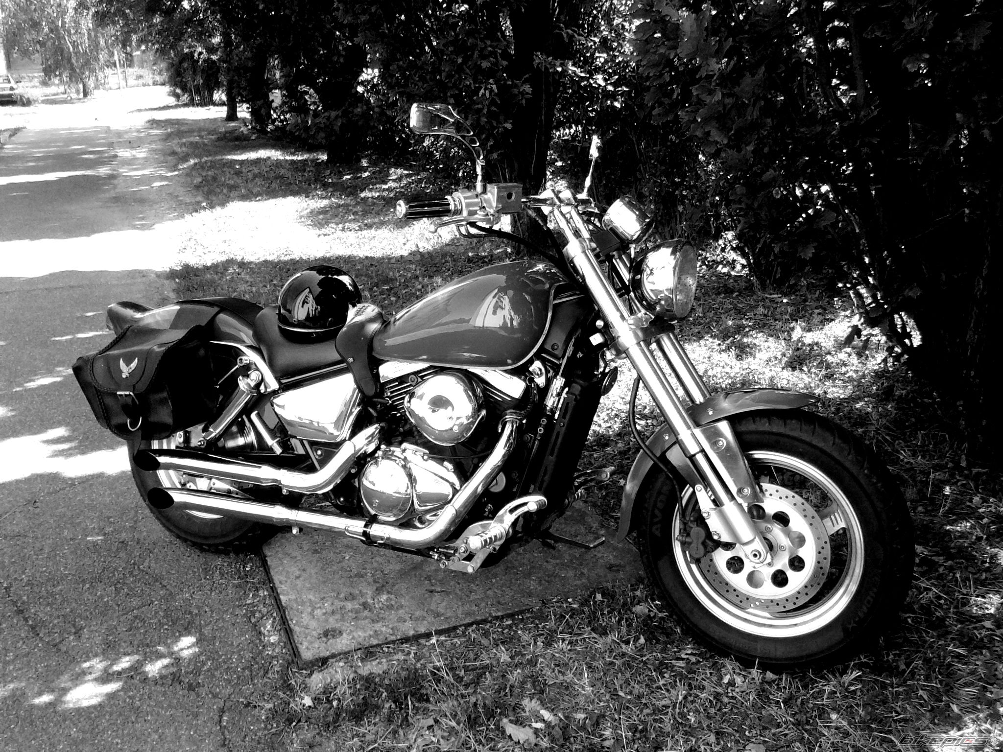 Photo 2239780