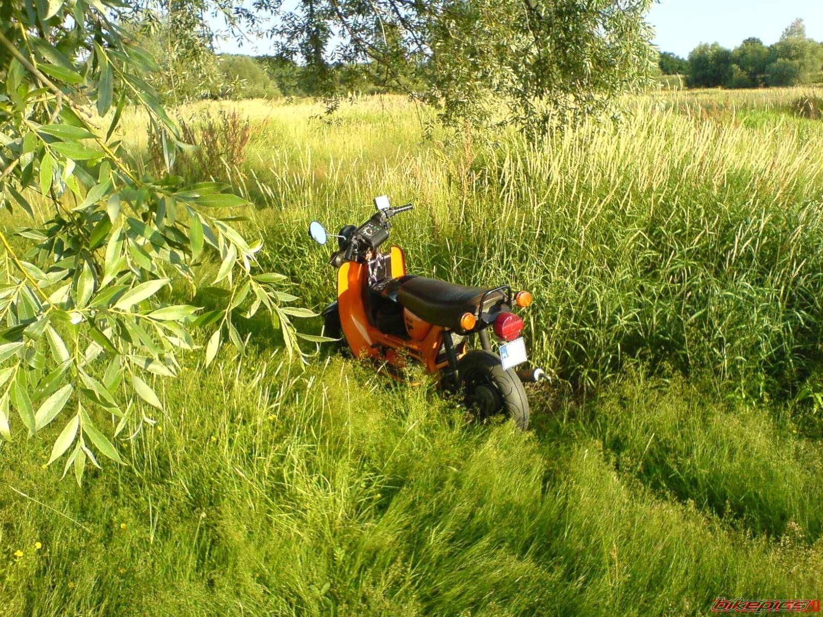 Photo 2239911