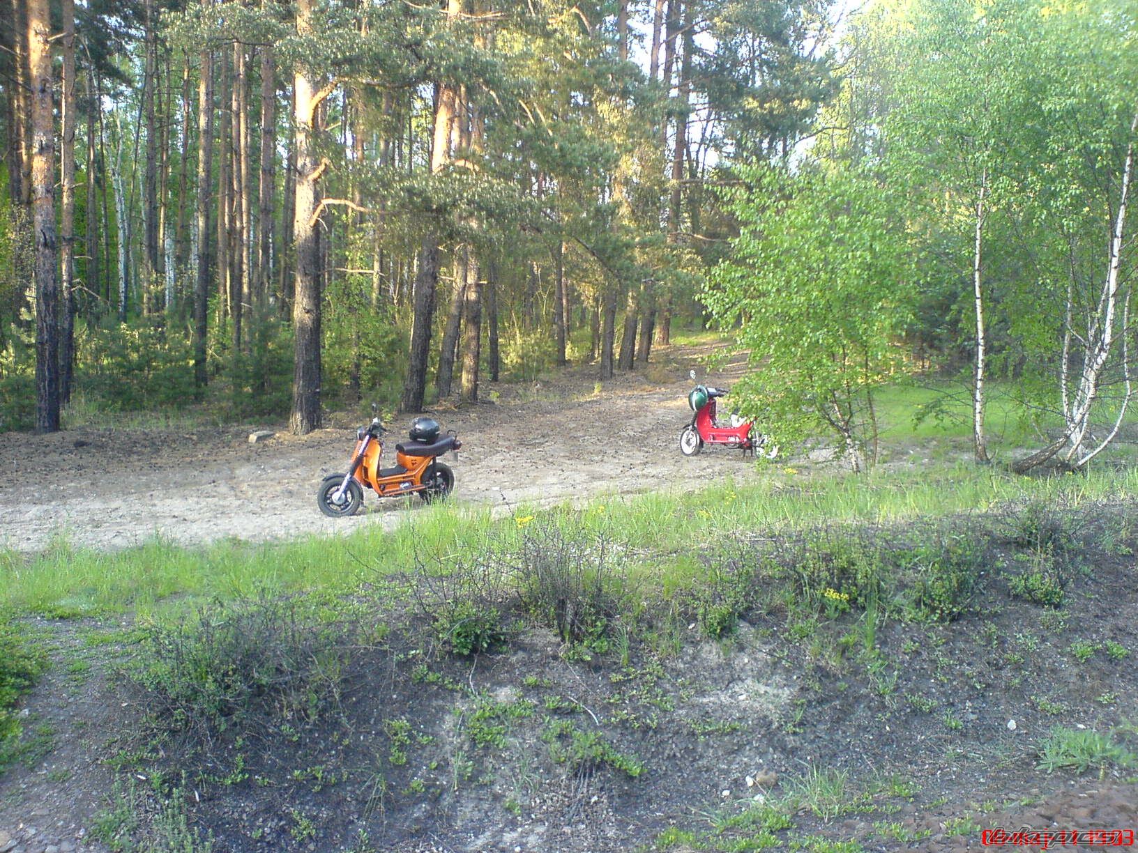 Photo 2239930