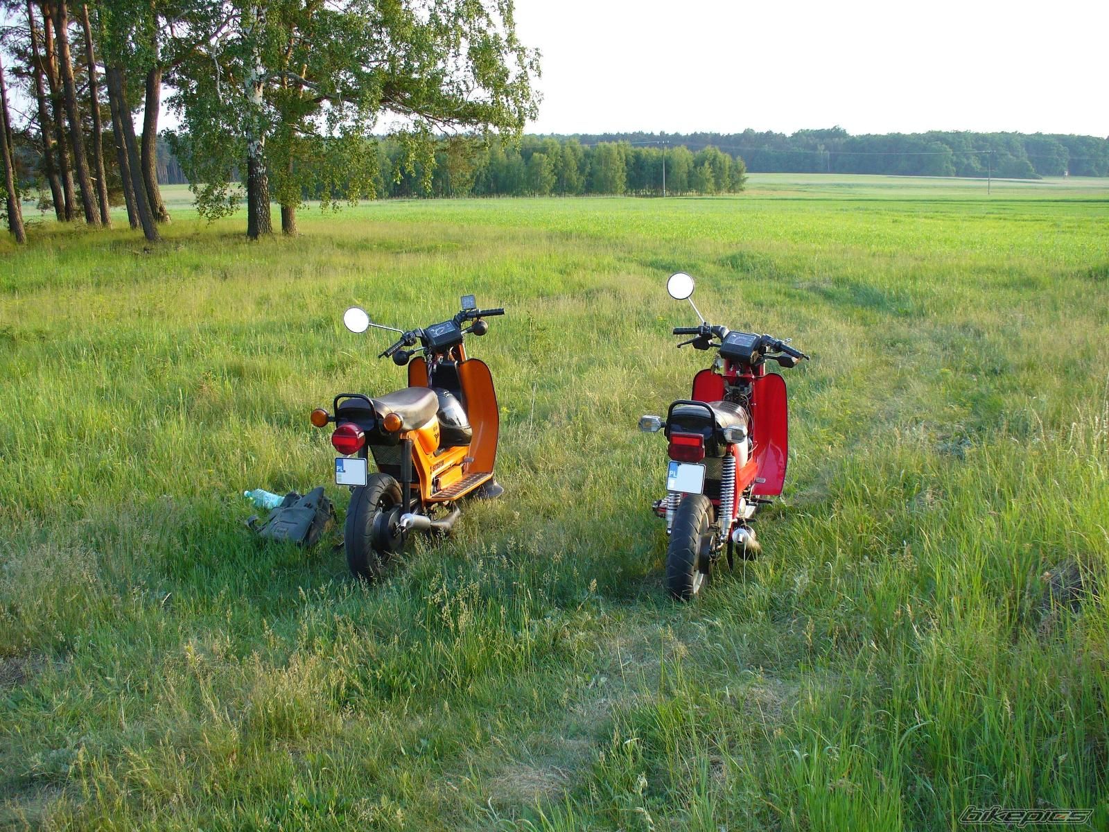 Photo 2239939